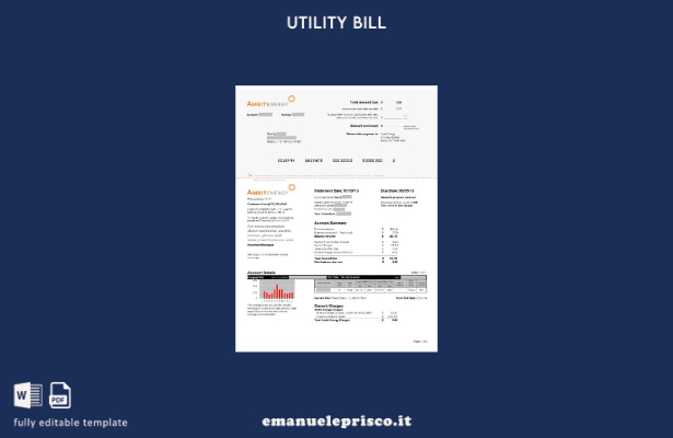 modello di bolletta delle utenze USA Ambit Energy in stile verificato